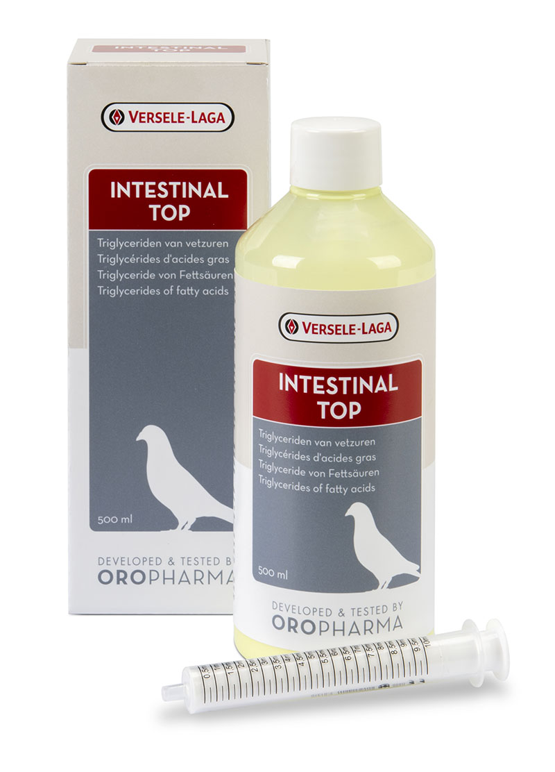 Intestinal top
