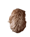 paw