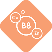 B8