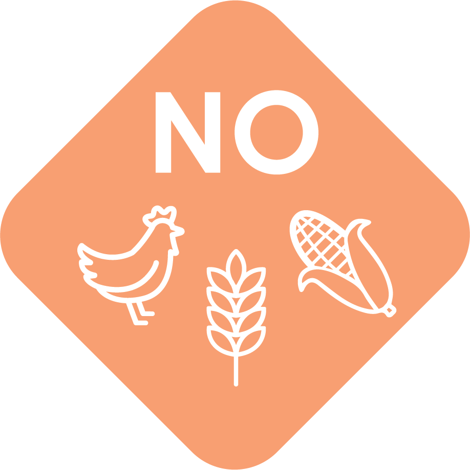 no