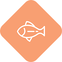 Zalm