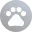 PetGPT Assistant