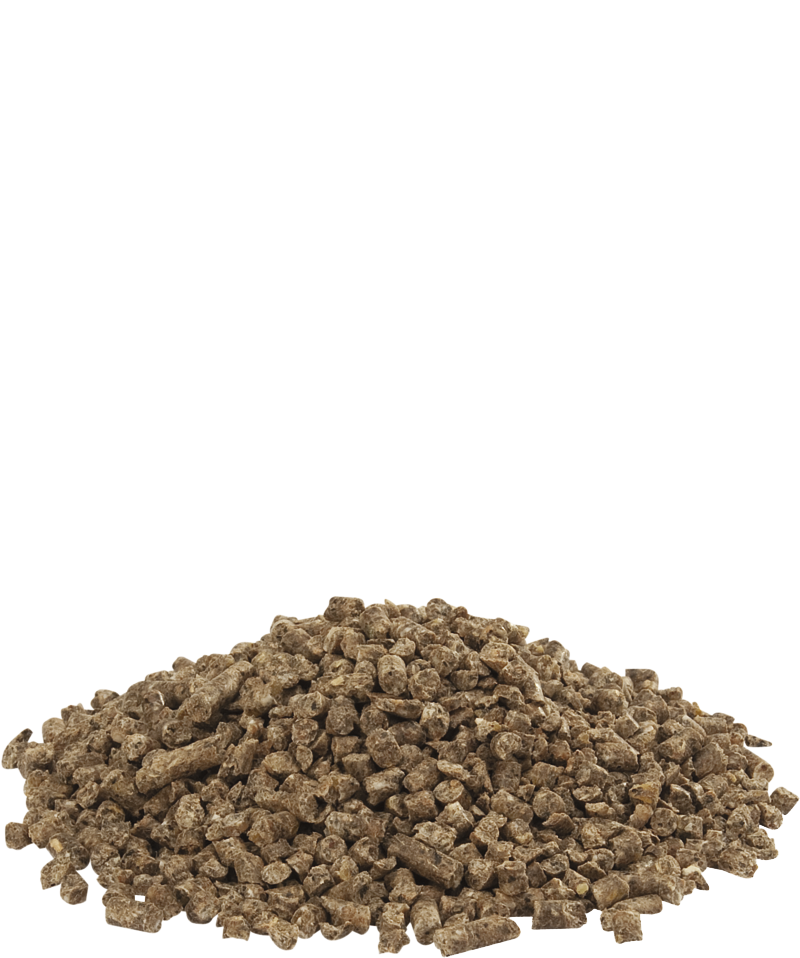 AUSTRU 1&2 pellet - Versele